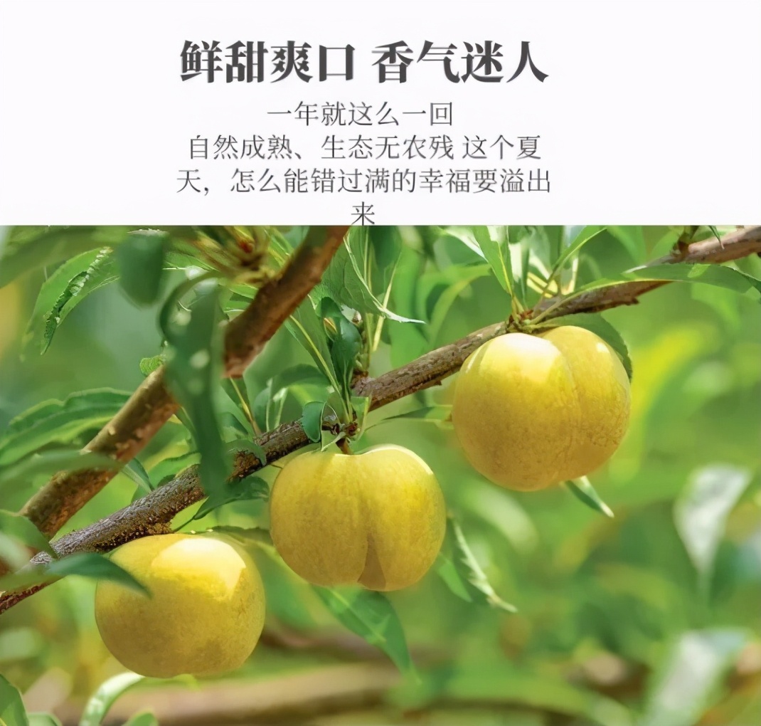 b0b4a89538d1498f9bb5f723a9fc1841-1 b0b4a89538d1498f9bb5f723a9fc1841-1