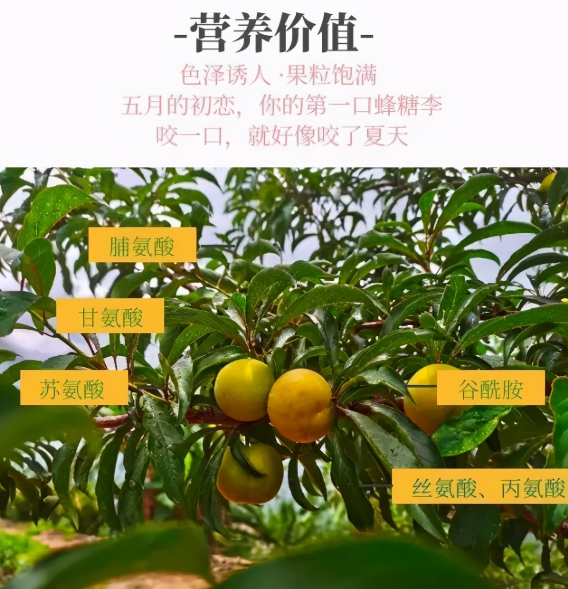 d601ae6a6beb416181249cc61a9935e2-1 d601ae6a6beb416181249cc61a9935e2-1