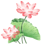 c09b4283f8a941079fb6b22bbc9ede48