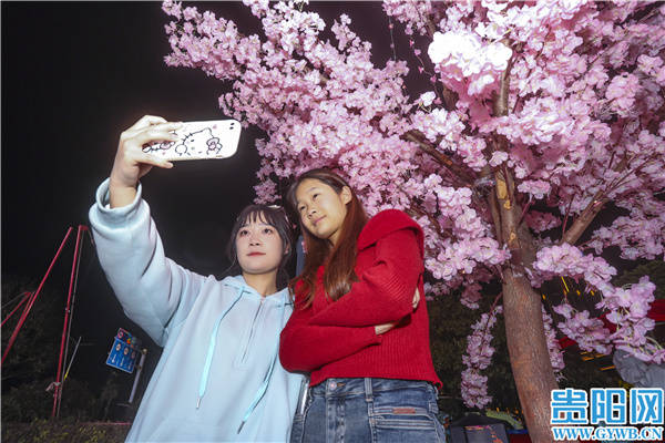 db9e8bf27f9244d6991232b9cb4a9244