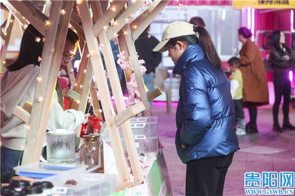 f1766ca015554011af0ee05667802c01