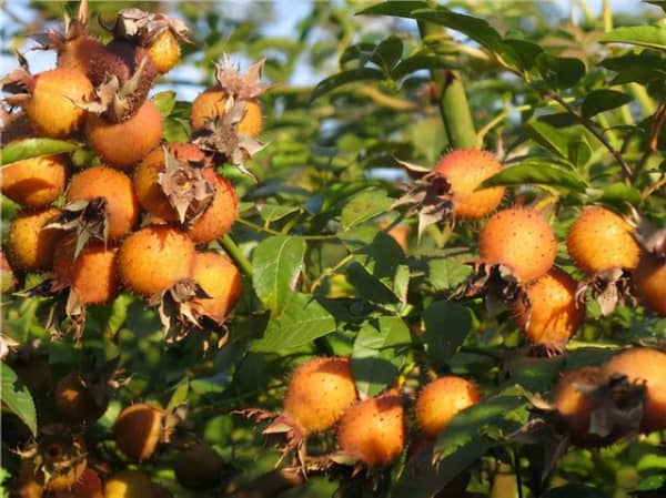 00304686091_b65c4d30