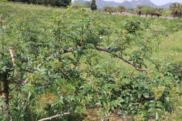 00304686092_bef95236