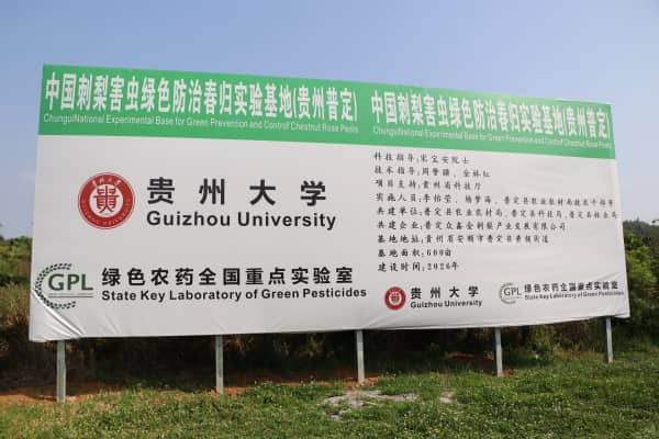 00304686093_7311096d