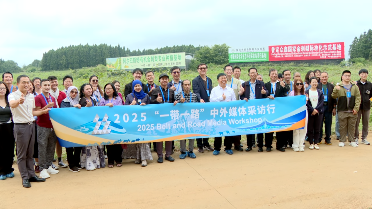 00304686096_ed2ddbf5