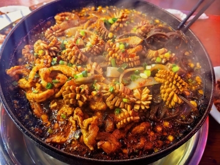 2026042917495487199.009